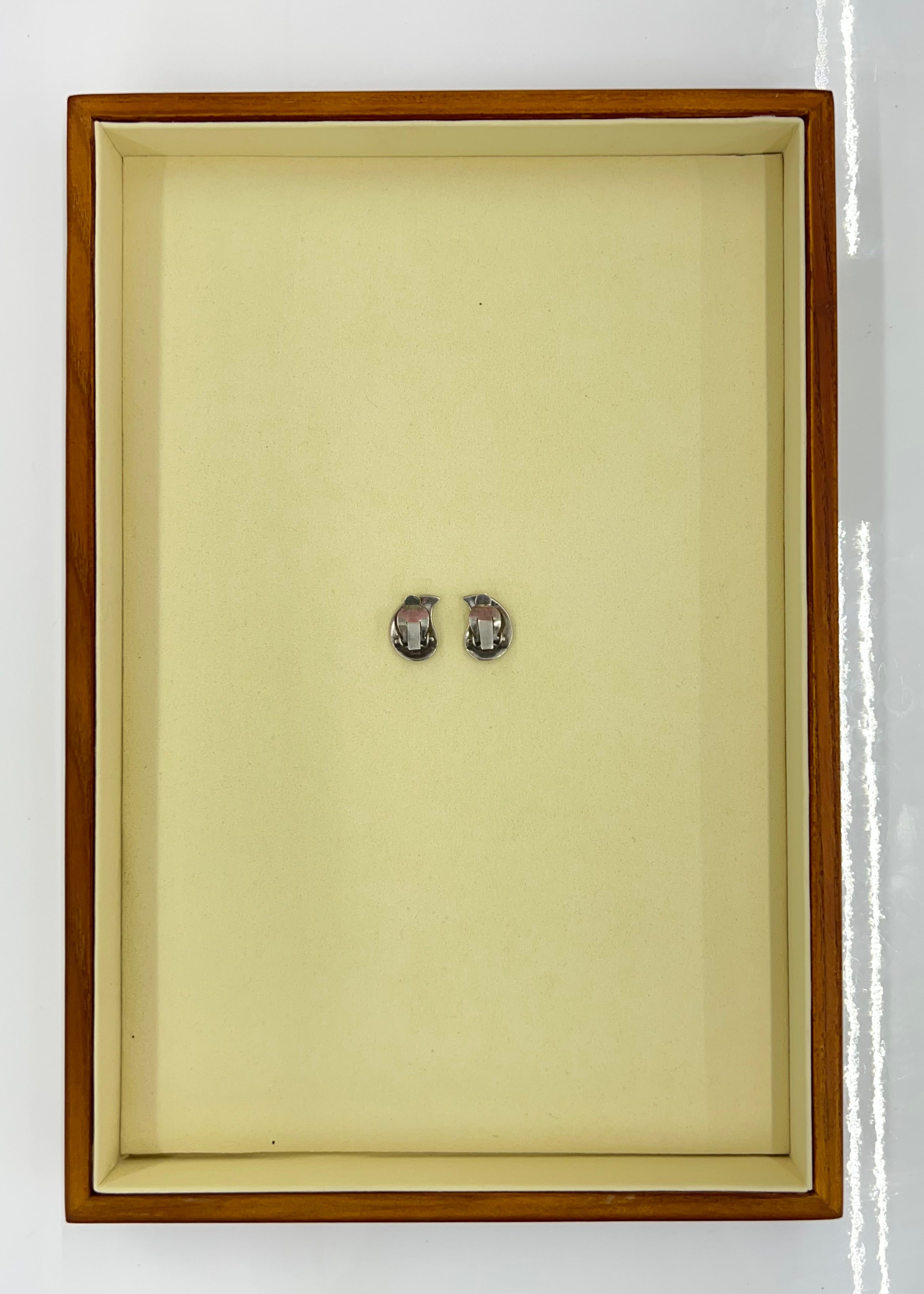 ENAMEL & SILVER DESIGN | EARRING